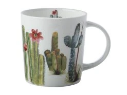 Royal Botanic Garden Arid Garden Mug 300ML Saguaro Gift Boxed -Maxwell & Williams store jy0001 1