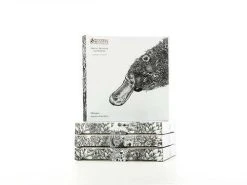 Marini Ferlazzo Plate 20cm Koala -Maxwell & Williams store marini ferlazzo 20cm plate gift boxes 1 1